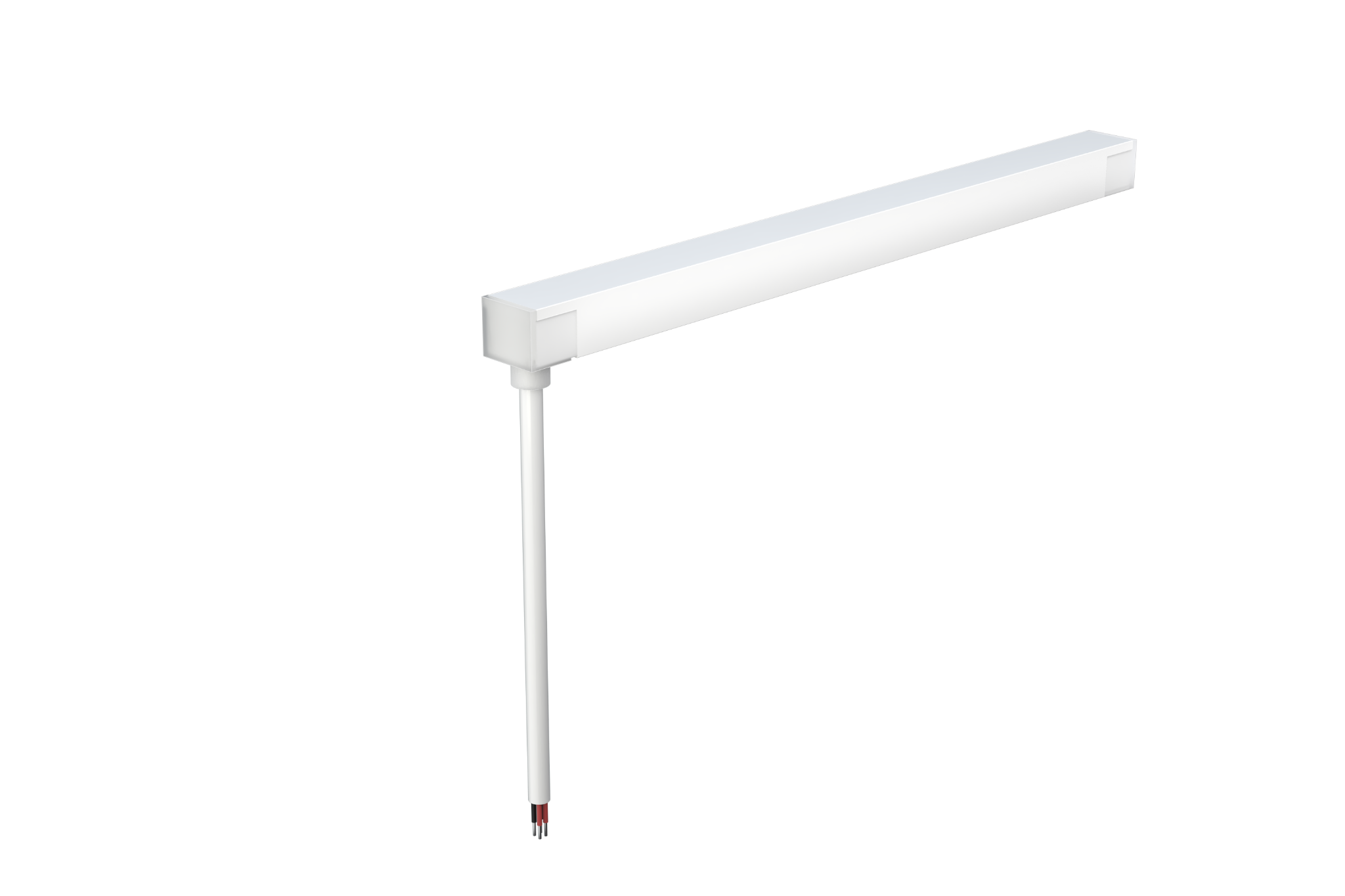 Neon-Flex S22 with end-feed cable